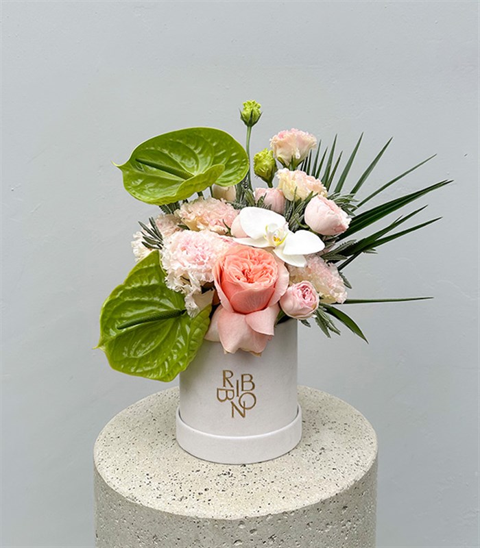 Buds of Verona Vizon Mini Kutuda Pastel Çiçekler