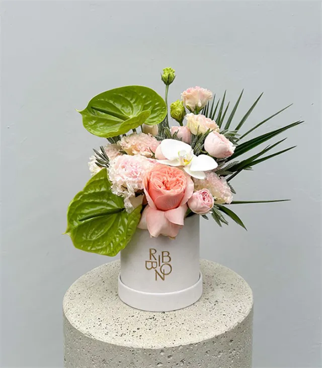 Buds of Verona Vizon Mini Kutuda Pastel Çiçekler