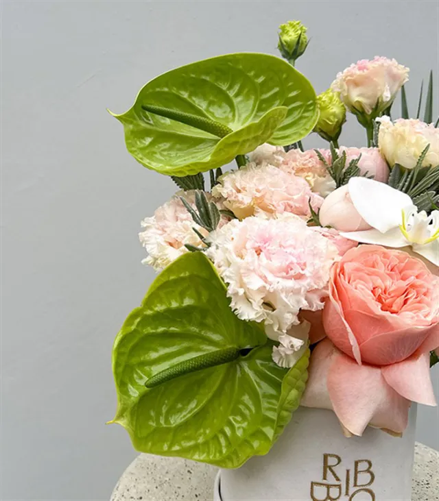 Buds of Verona Vizon Mini Kutuda Pastel Çiçekler — görünüm 4