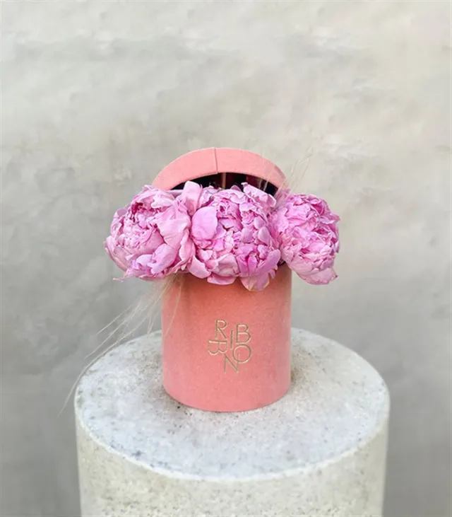 Clara Mini Pembe Kutuda Şakayık — görünüm 3