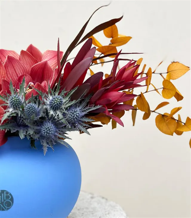 Milena Mavi Seramik Vazoda Cymbidium Orkide Conebushes Aranjman — görünüm 4