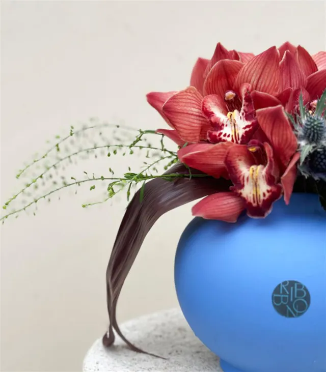 Milena Mavi Seramik Vazoda Cymbidium Orkide Conebushes Aranjman — görünüm 3