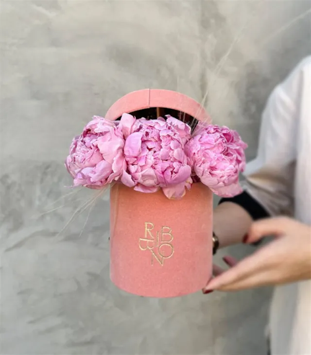 Clara Mini Pembe Kutuda Şakayık — görünüm 4