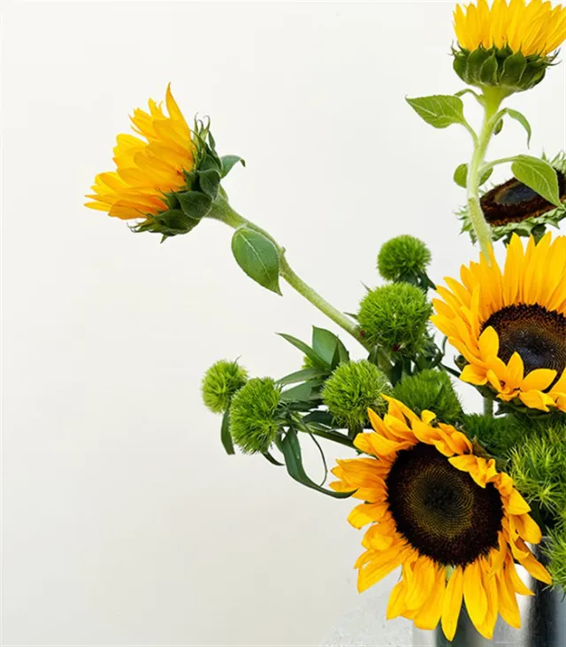Sunshine Bliss Ayçiçeği Babalar Günü Vazo Aranjmanı — görünüm 4